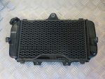 Radiador Yamaha TDM850 91-95 3VD