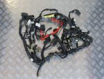 Cabelagem Yamaha Tracer 900 15-17