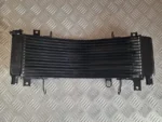 Radiador Água Suzuki TL1000R 1999-2002