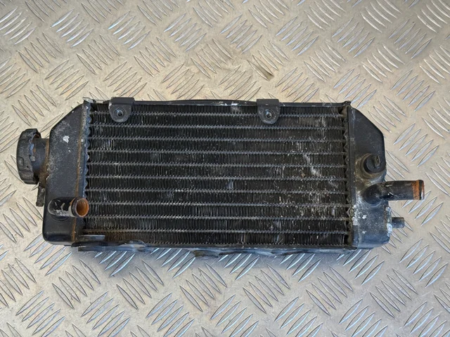 i6554784208 Radiador Honda NX250 Dominator - Image 1