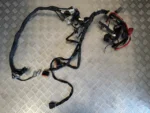 Cabelagem Yamaha FZ1 2006-2015 - Image 8