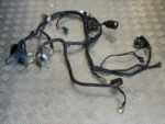 Cabelagem Yamaha FZ6 2004-2009