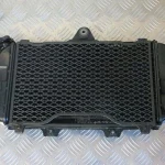 Radiador Yamaha TDM850 91-95 3VD