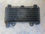 Radiador Óleo Kawasaki ZXR750 89-90