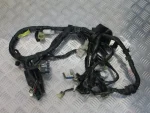 Cabelagem Yamaha FZ6 04-06